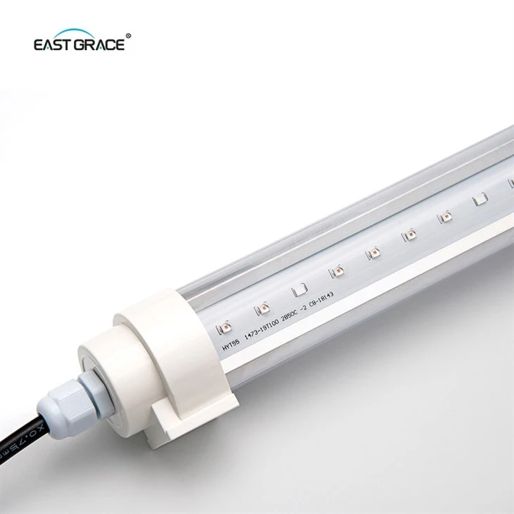 Interlighting Plant LED Grow Light Full Spectrum For Greenhouse suppliers