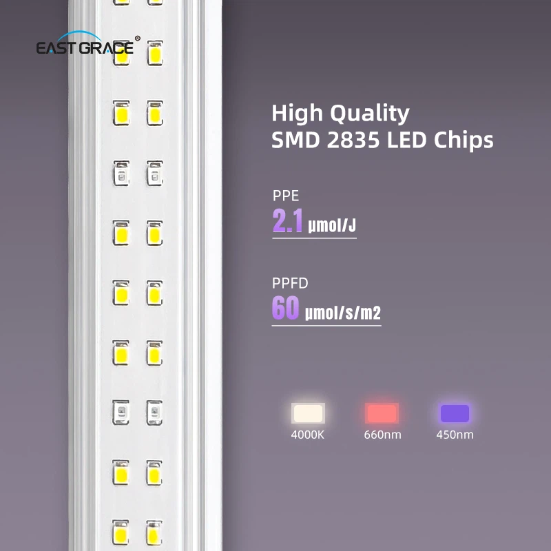 product-800-800 product-800-800