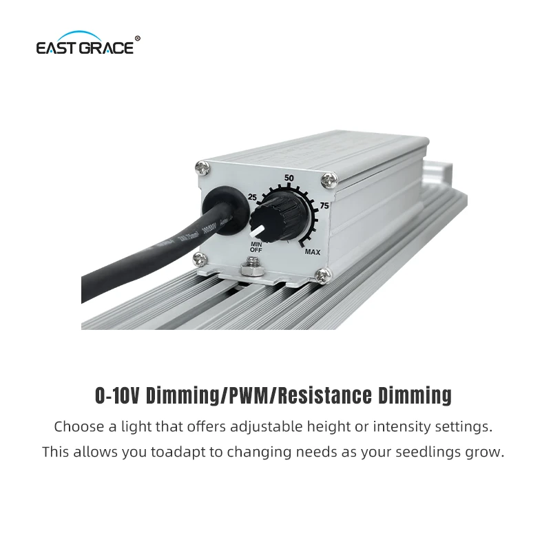product-800-800