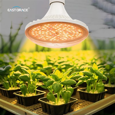 NLO LED Grow Growl Sijalica C za zatvoreno vrtlarstvo