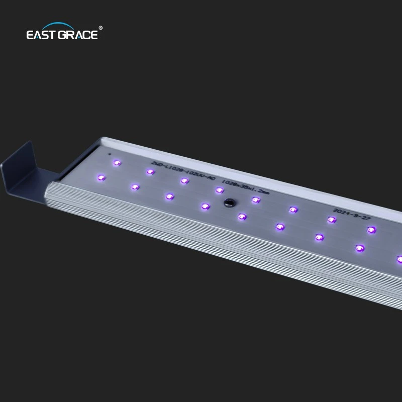 LED (11)