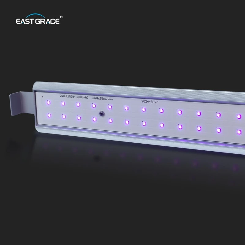 LED (10)