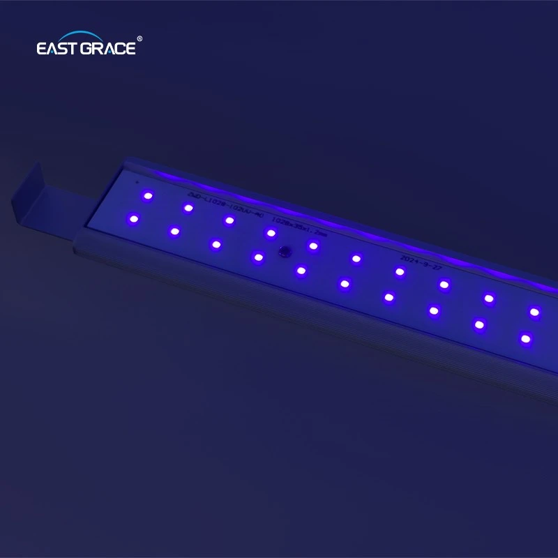 LED (8)